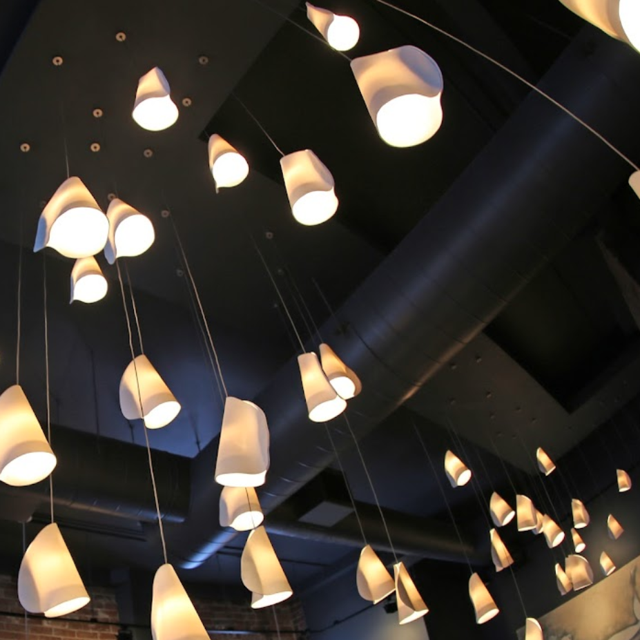 Fauna Ottawa light ceiling